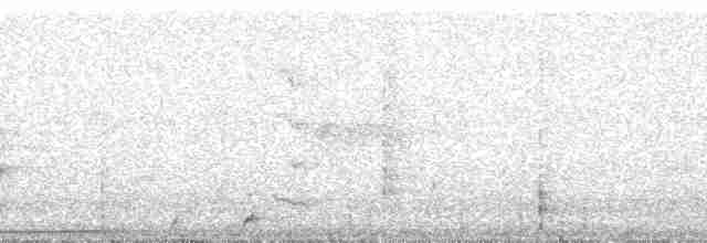 Сойка білогорла - ML215472