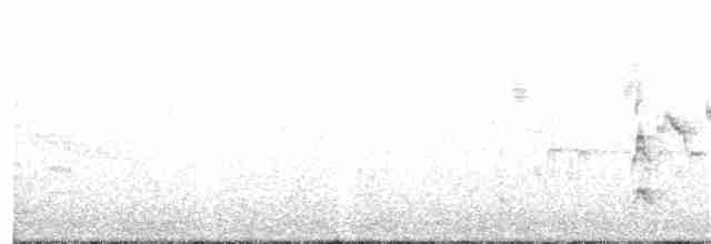Common Yellowthroat - ML215507271