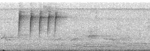Piranga érythrocéphale - ML215524