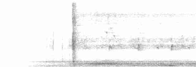 Clamorous Reed Warbler - ML215579971