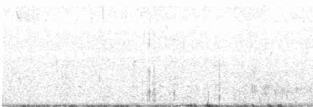 Common Gallinule - ML215710531