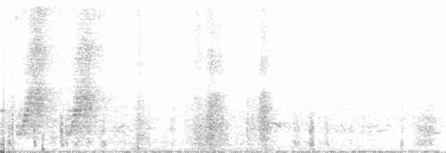 Галстучная кустарница - ML215726271