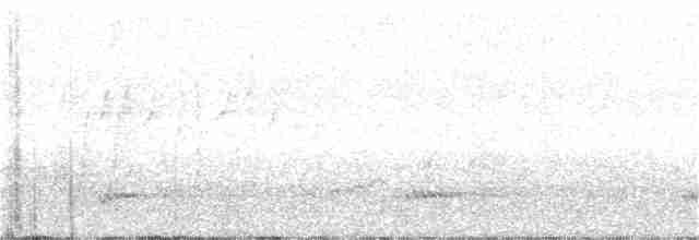 Бурая птица-носорог - ML215727991