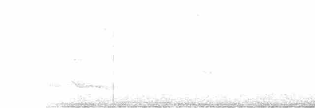 trogon podvazkový - ML215741841