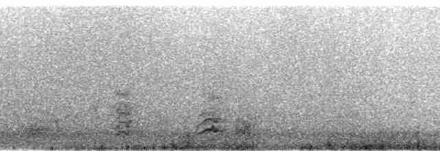 arara hnědočelý - ML215753