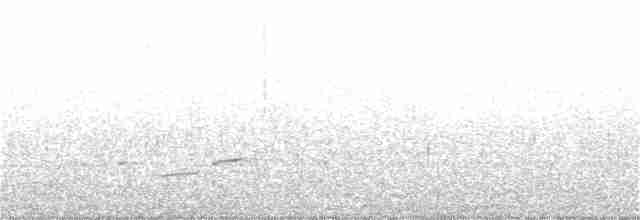 Ak Tepeli Baştankara - ML215767611