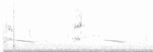 Северный сорокопут - ML215772591