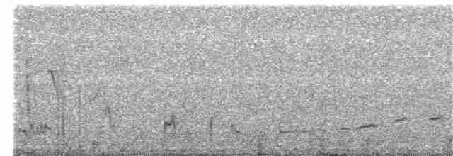 Kıvrık Gagalı Çöpçü - ML21580101