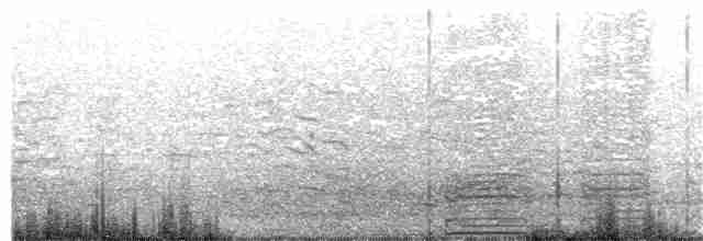 קורמורן ימי - ML215805901