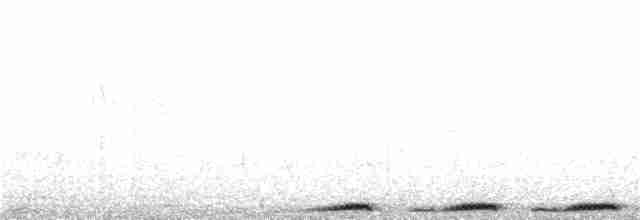 Серебристокрылая горлица - ML21585191