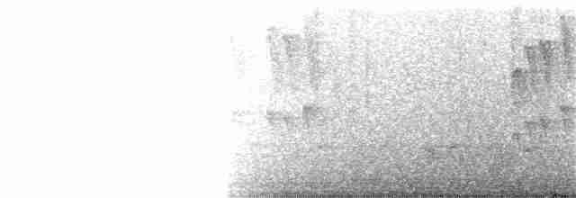 Лусонская белоглазка - ML215982231