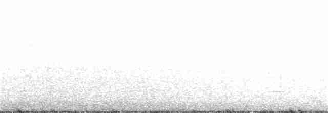 Белошейная гагара - ML215991541