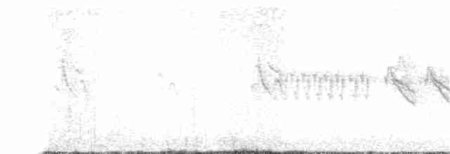 křivka bělokřídlá - ML216045061