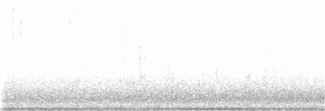 hvitbrynsvartspett - ML216059411