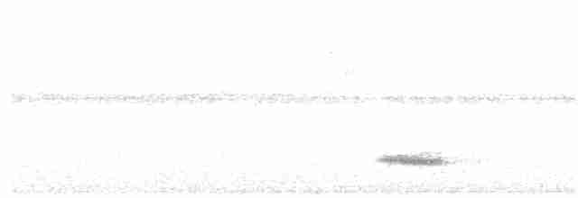 Toucan à ventre rouge - ML216060271