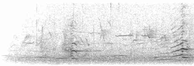 Малая канадская казарка (leucopareia) - ML216095761