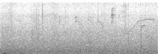 mustasjekjerrspurv - ML216142001