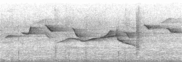 Мухоловка індигова (підвид ruficrissa/cerviniventris) - ML216142121