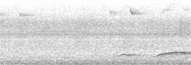 Чагарниця жовтодзьоба - ML216142361