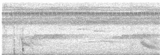 Rotspiegel-Ameisenvogel - ML216184551
