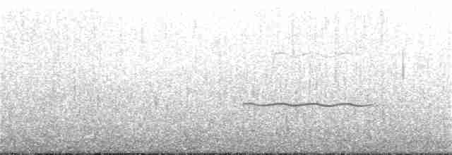 Magellanic Oystercatcher - ML216200391