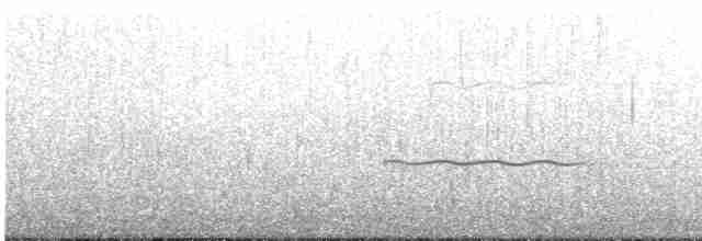 Blackish Oystercatcher - ML216200921