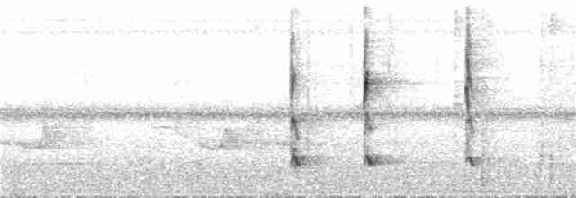 Kestane Karınlı Ardıç - ML21623501
