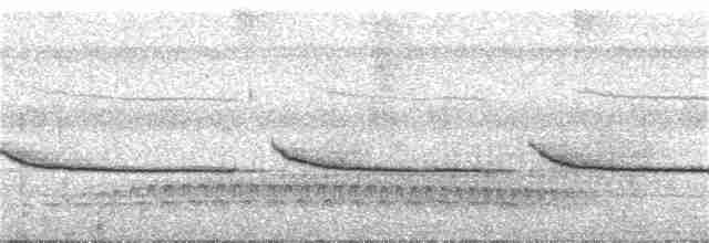 Віреончик буроголовий - ML216248841