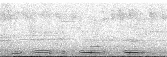 Toucan Barbet - ML216279101
