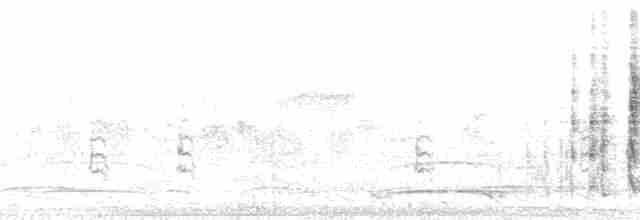 Желтогорлая пищуховая иглохвостка - ML216280