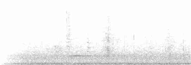 hvitbrynsvartspett - ML216312971