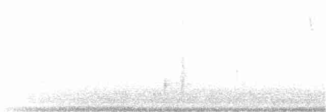 Светлобрюхий фиби - ML216313821