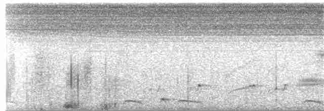 holoubek šupinkový - ML216380021