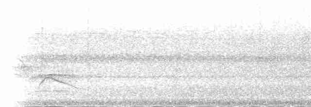 Kısa Gagalı Sepetören - ML216392