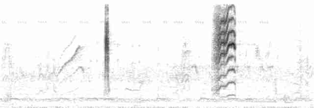 Крапивниковая цистикола - ML21639631