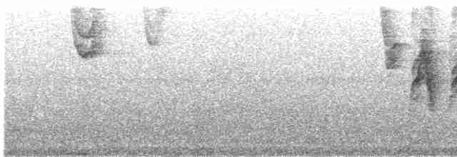 Pale-headed Brushfinch - ML216436631