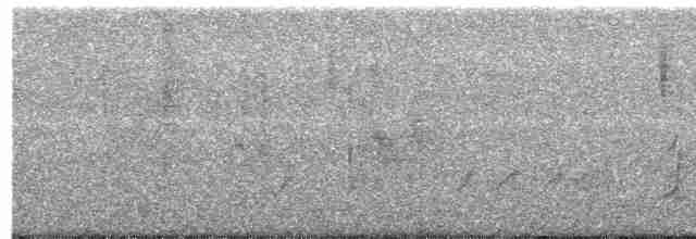 Northern Beardless-Tyrannulet - ML21648881