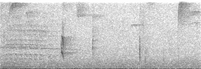 Тиранчик-довгохвіст жовточеревий - ML216500241