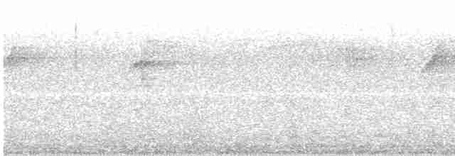 Hair-crested Drongo (Bornean) - ML216502341