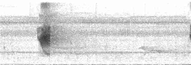 Рибалочка рудогрудий - ML21651361