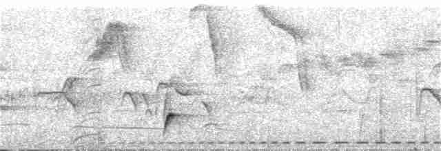brunkinnskogtrost (swainsoni gr.) - ML216514611