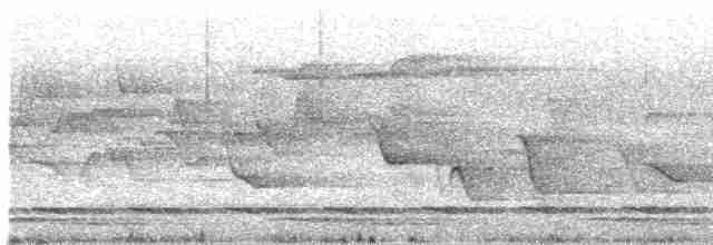 Борнейская лесная куропатка - ML216524401