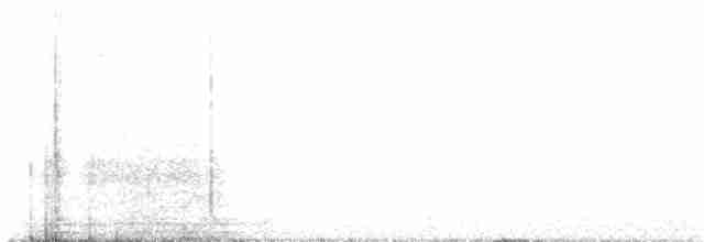 White-throated Nightjar - ML216536681