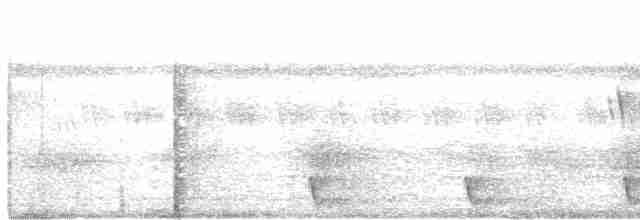 Large-tailed Nightjar - ML216551861