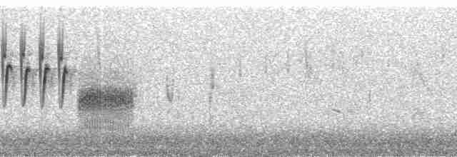 Grass Wren (Northern) - ML216556