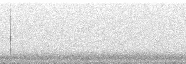 Grass Wren (Northern) - ML216558