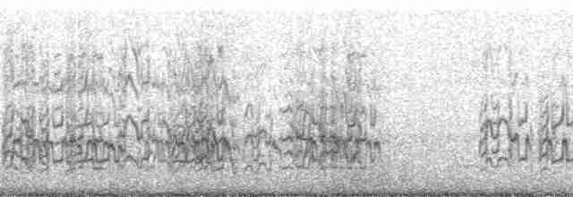 オウム目（インコ科 小さな種） - ML216598