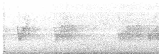 Savannennachtschwalbe - ML216599831