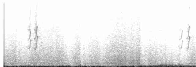 vlaštovka obecná - ML216615661