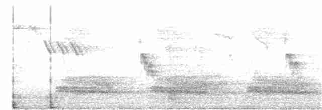 Nebelkrähe - ML216688501